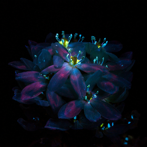 校草每天都要被爸爸管教by中元节
